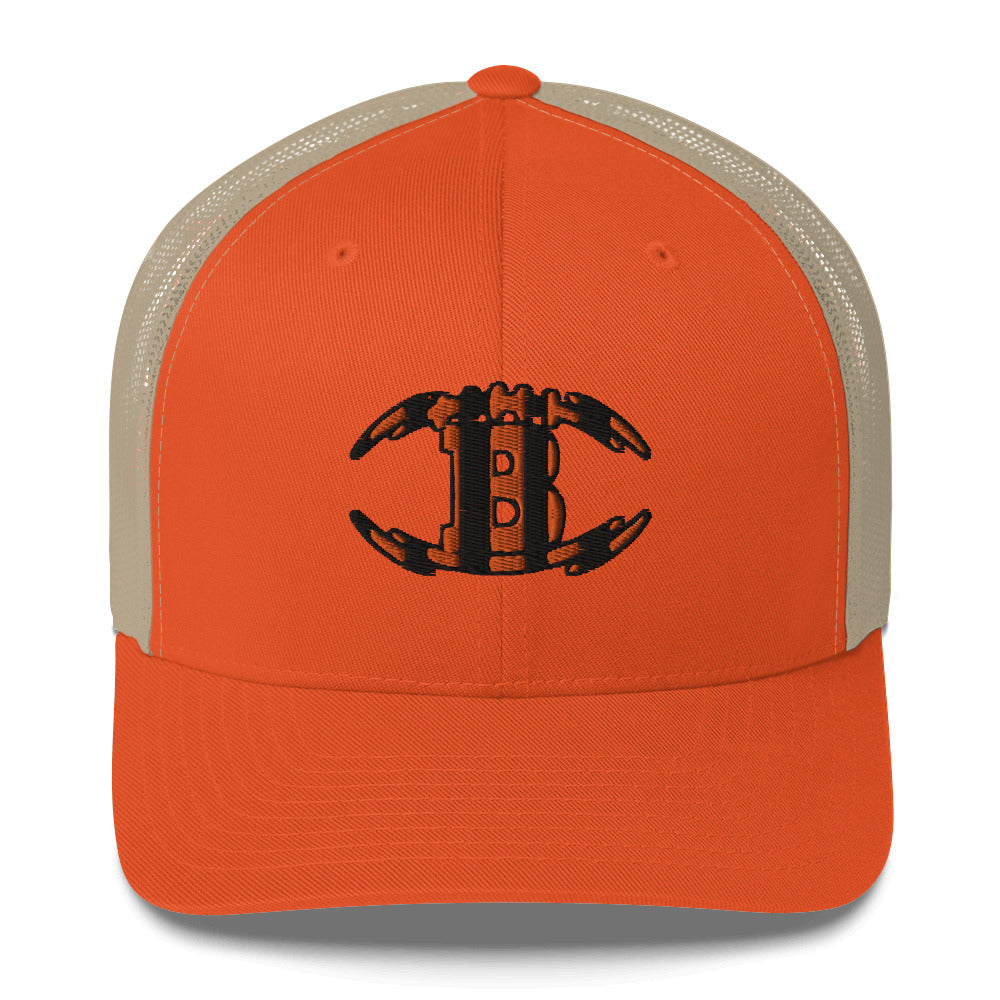 Bengals championship hat / B hat / Cincinnati Bengals Design