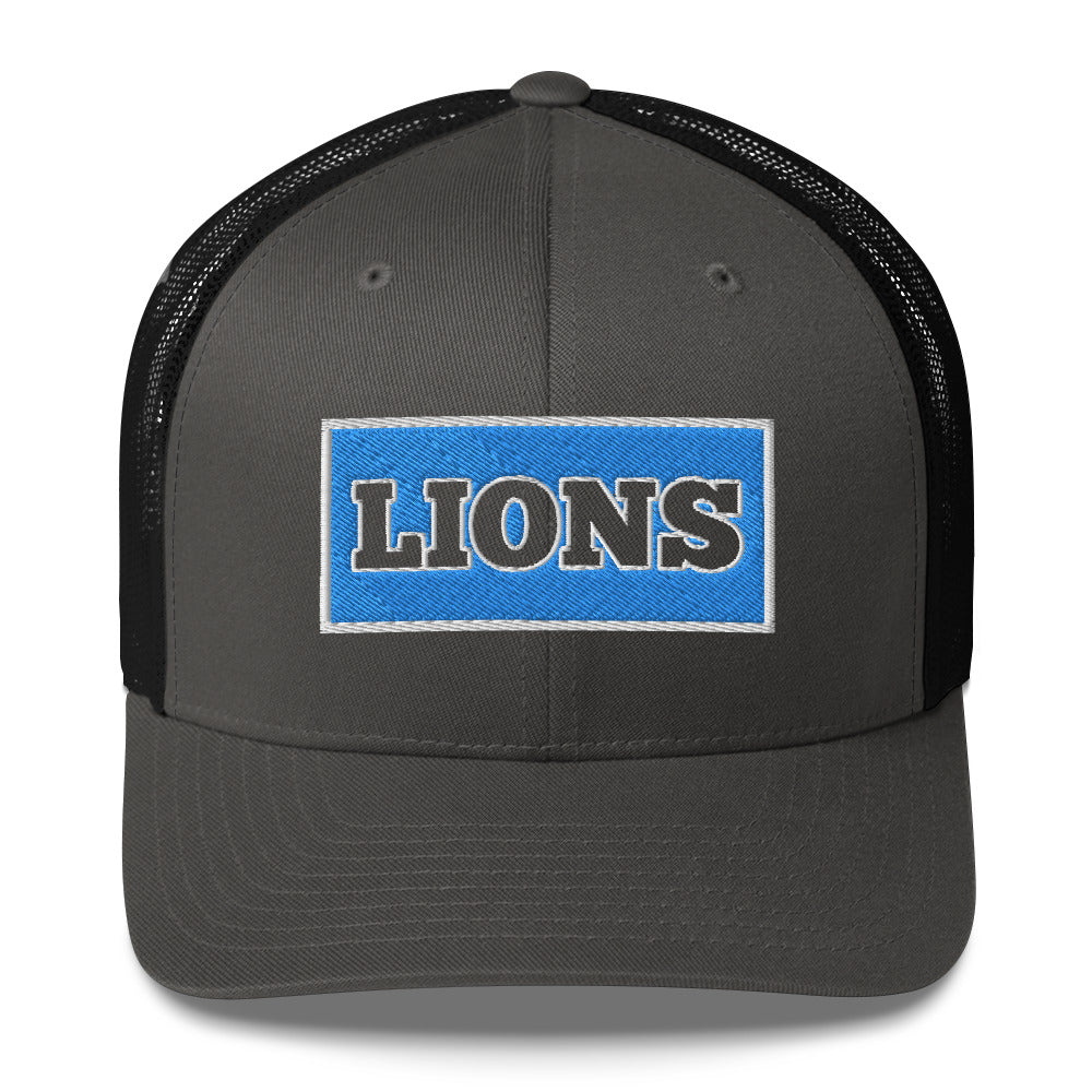 Detroit lions 1934 Hat / Dan Campbell's Hat / Lions 1934 Trucker Cap