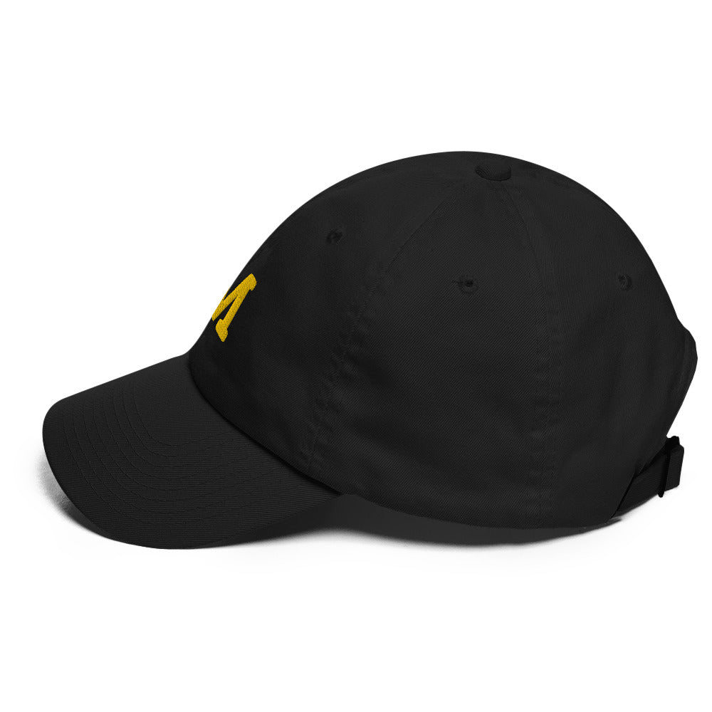 Michigan's Jim Harbaugh Hat / M Hat / Broncos Dad hat