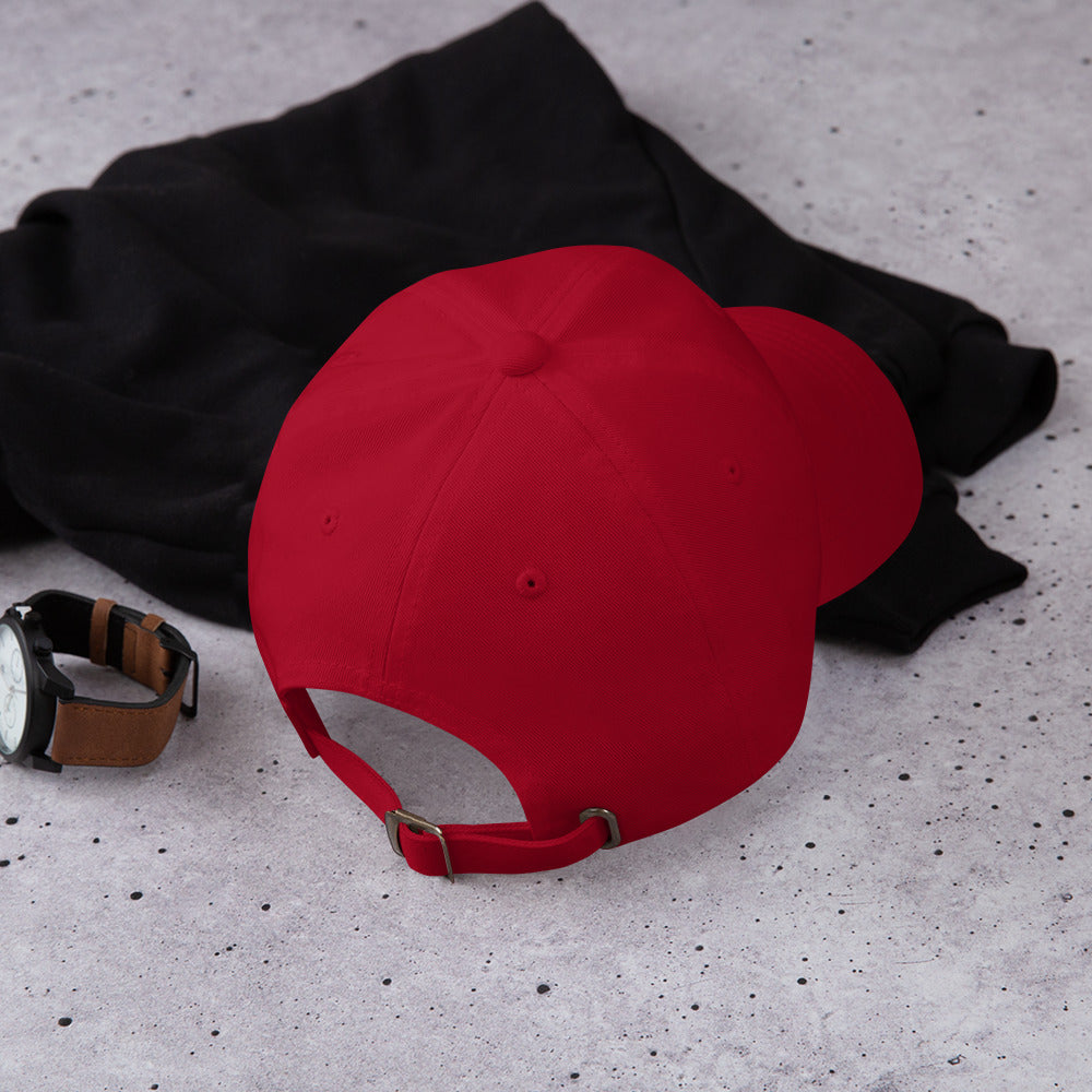 Run Herschel Run / Leo 2.0 / Run Herschel Run Dad hat