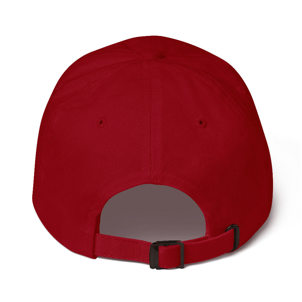 Run Herschel Run / Leo 2.0 / Run Herschel Run Dad hat