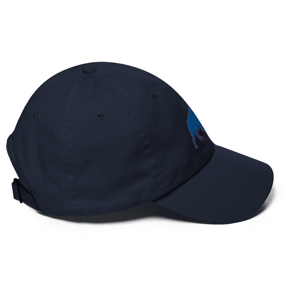 Buffalo Bills Hat / Bills Hat / Buffalo Hat / Buffalo Bills 3 Dad Hat