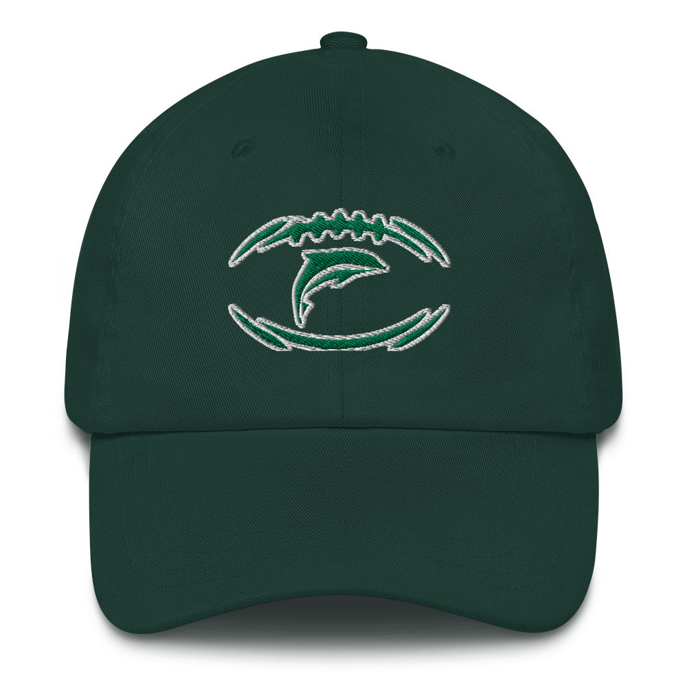 Miami Dolphins Hat / Dolphins Hat / Miami Dolphins Dad hat