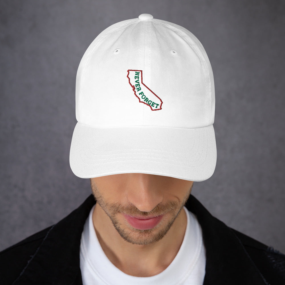 California Never Forget Hat / California map Hat / California Dad hat