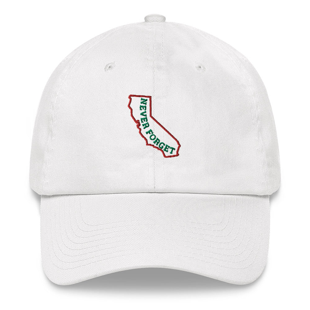 California Never Forget Hat / California map Hat / California Dad hat