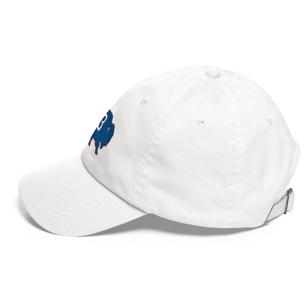 Damar Hamlin Hat / Love For 3 Hat / Buffalo Bills Dad hat