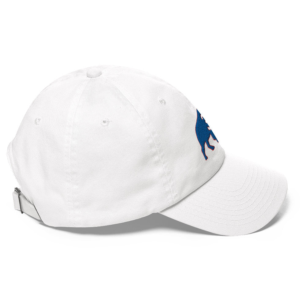 Damar Hamlin Hat / Love For 3 Hat / Buffalo Bills Dad hat