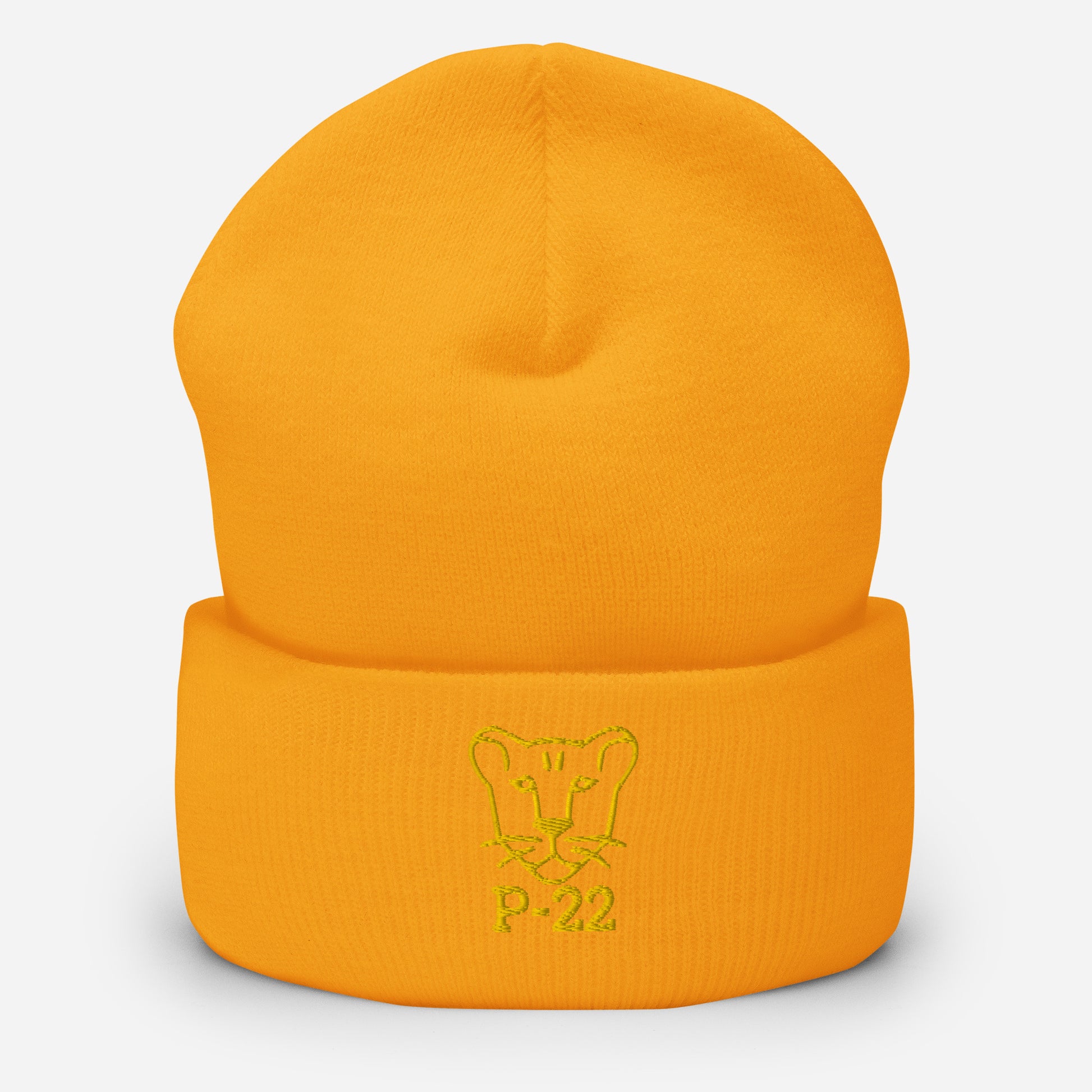 P-22 Hat / Mountain Lion Hat / Lions Hat / P-22 Dad Hat