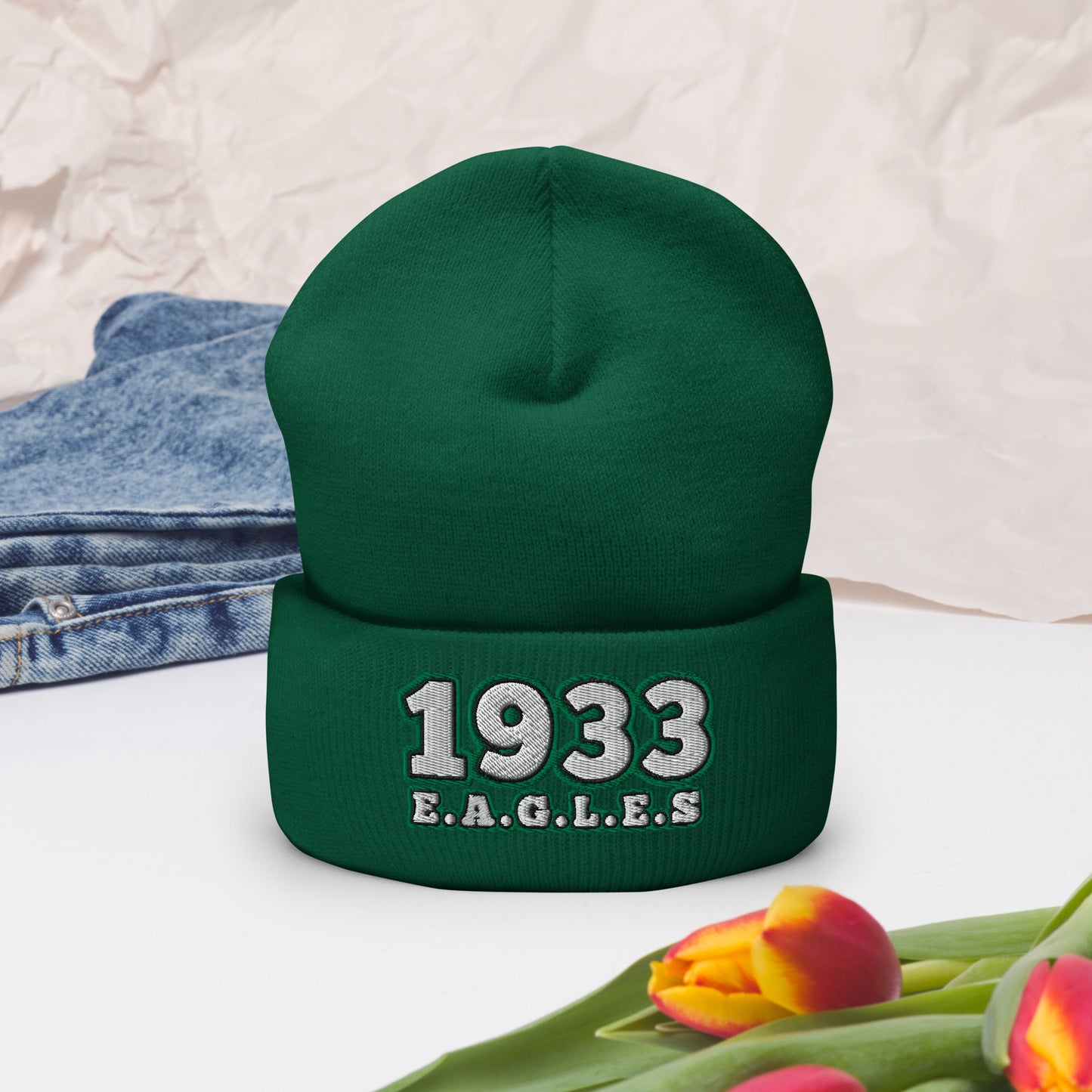 Eagles Champions Hat / 1933 Hat / Eagles Champs Cuffed Beanie