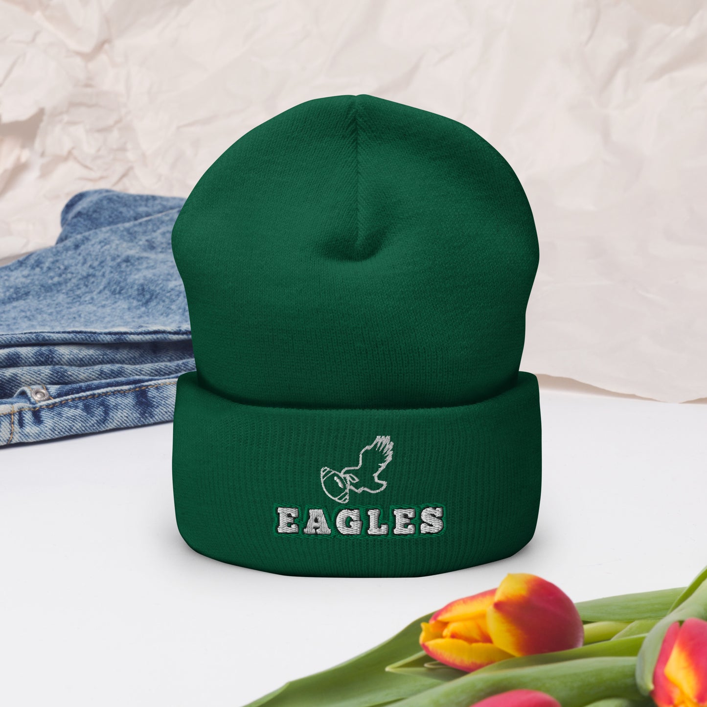 Eagles Champions Hat / Eagles Hat / Eagles Champs Cuffed Beanie