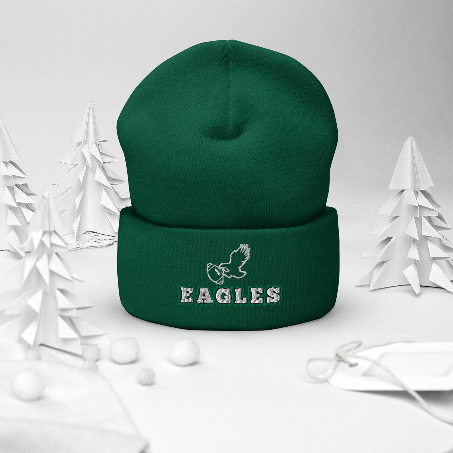 Eagles Champions Hat / Eagles Hat / Eagles Champs Cuffed Beanie