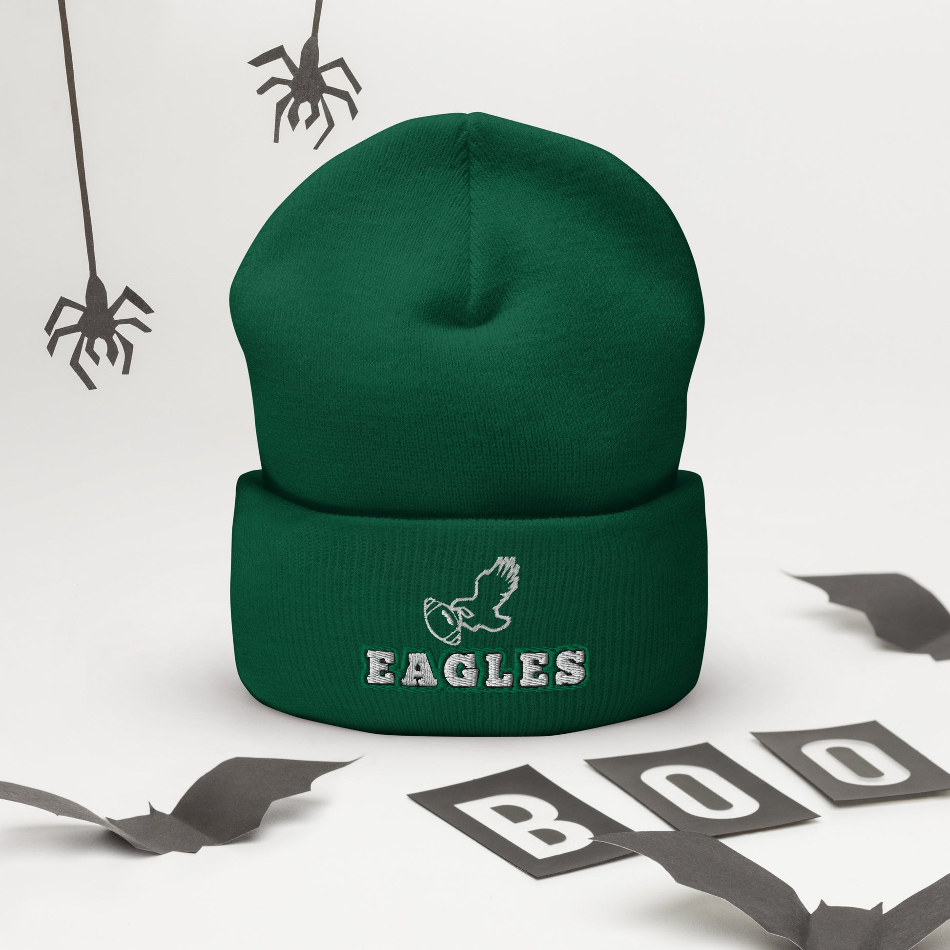 Eagles Champions Hat / Eagles Hat / Eagles Champs Cuffed Beanie