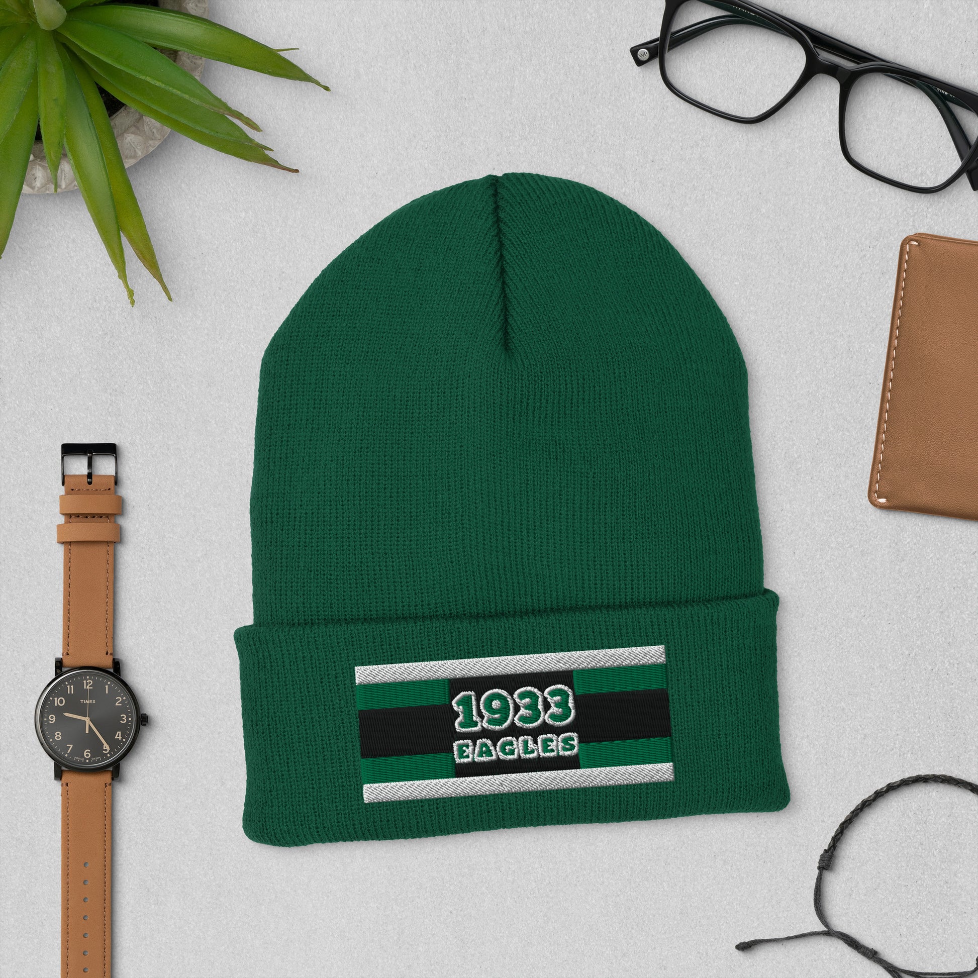 Eagles Champions Hat / Eagles Hat / Eagles Champs Cuffed Beanie