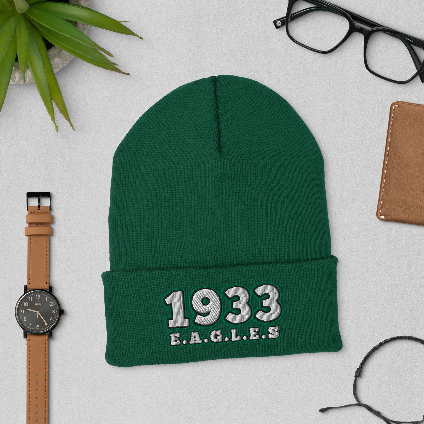 Eagles Champions Hat / 1933 Hat / Eagles Champs Cuffed Beanie