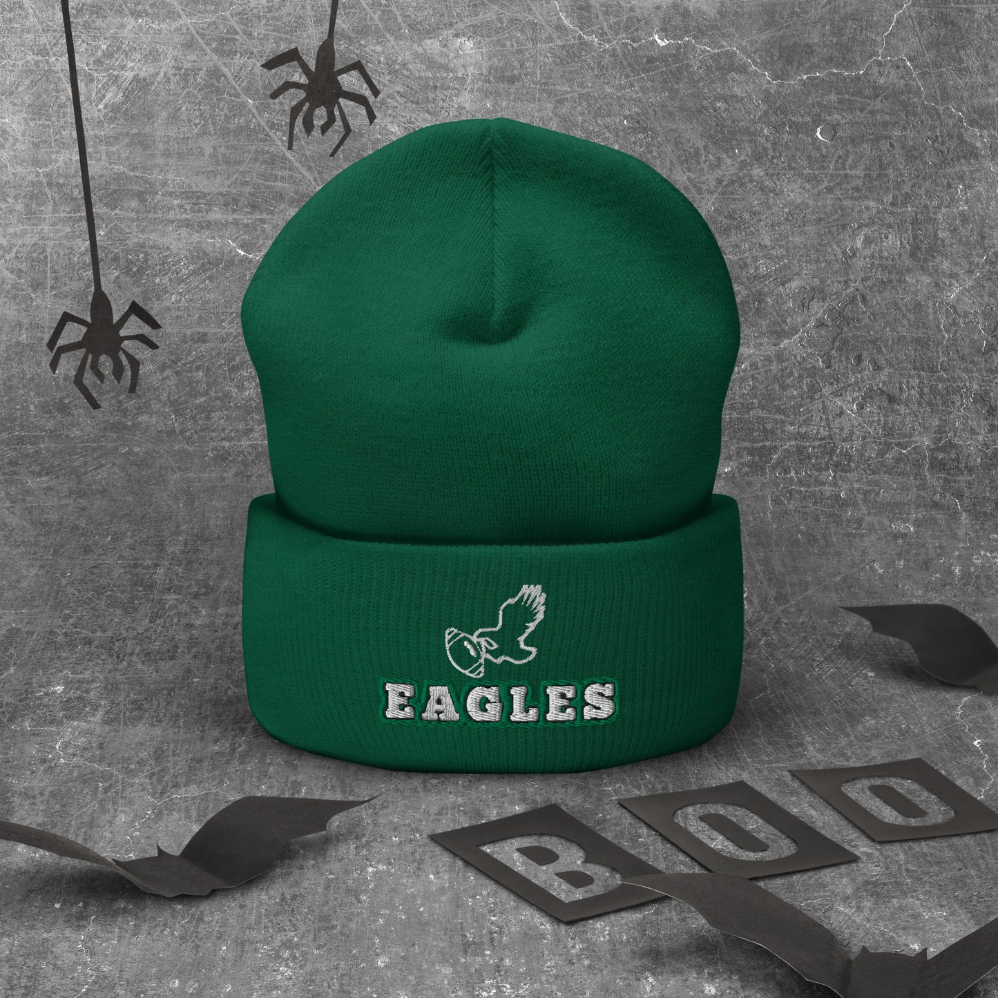 Eagles Champions Hat / Eagles Hat / Eagles Champs Cuffed Beanie