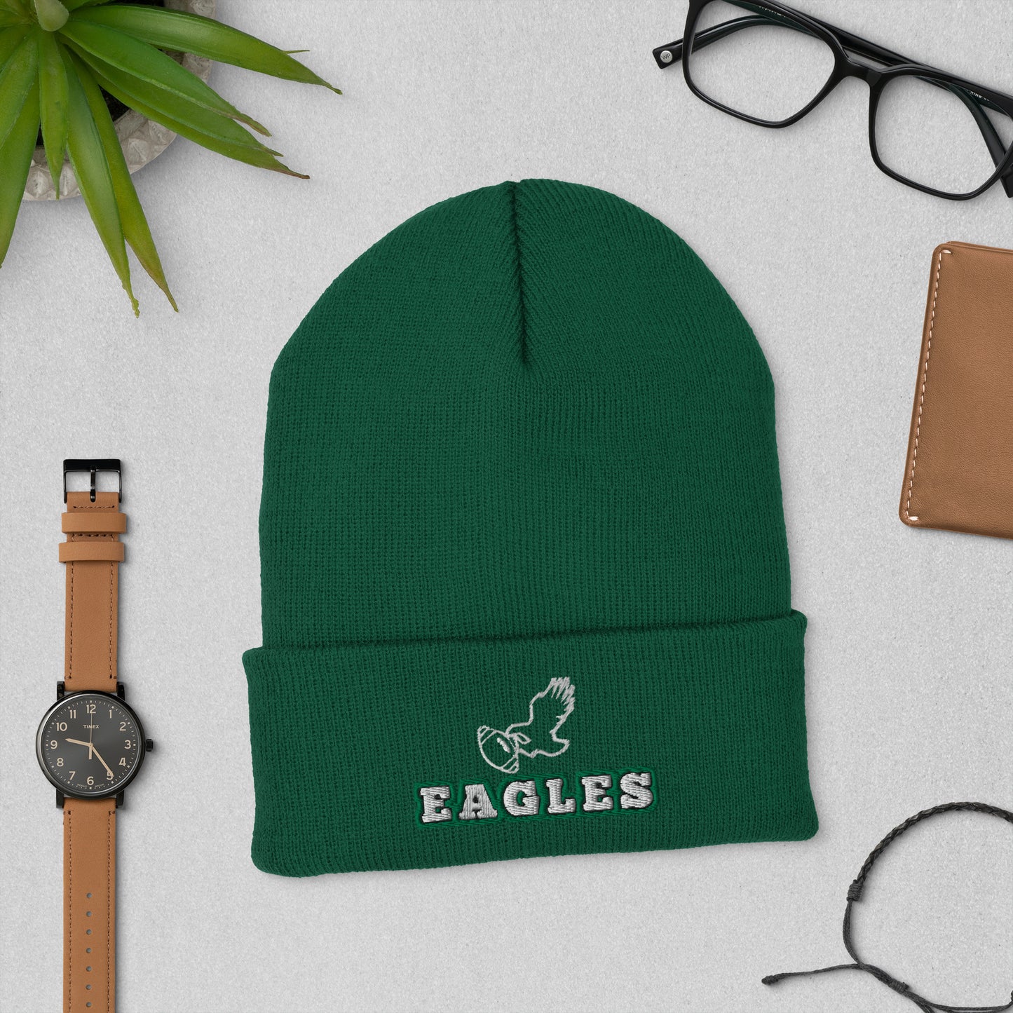 Eagles Champions Hat / Eagles Hat / Eagles Champs Cuffed Beanie