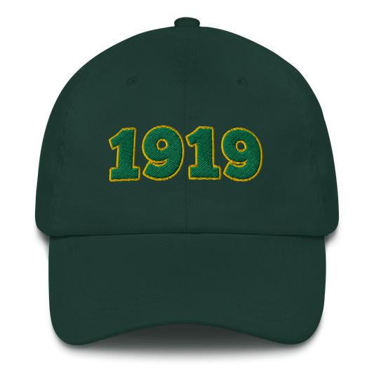 1919 Hat / Green Bay Packers hat / Packers Hat / Dad hat
