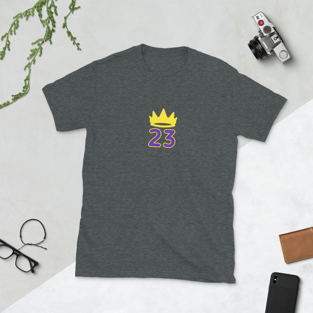 Lebron T-shirt / King t-shirt / King 23 t-shirt / 23 t-shirt 