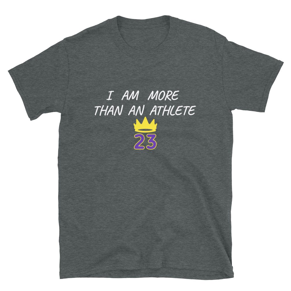 Lebron T-shirt / King t-shirt / King 23 t-shirt / 23 t-shirt 