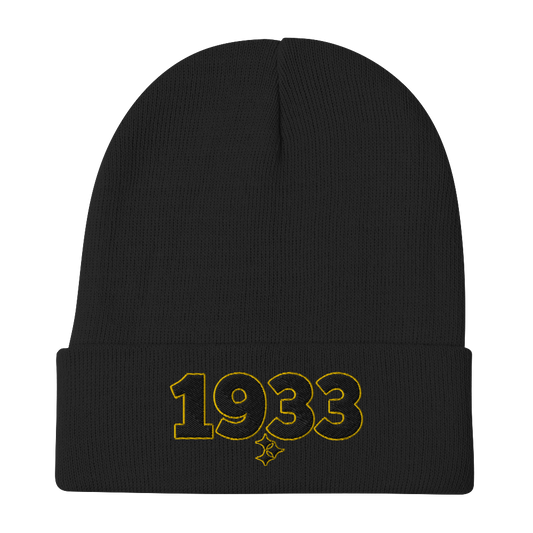 Steelers hat / 1933 Steelers hat / Steelers 1933 hat / 1933 hat